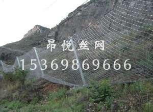 邊坡防護網(wǎng).jpg